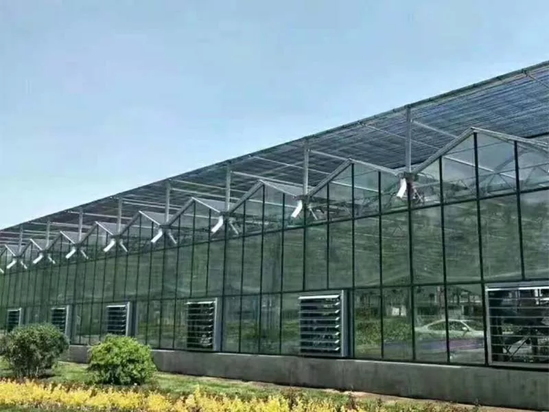איזה סוג של גידולים ניתן לגדל בחווה אנכית מפלדה?